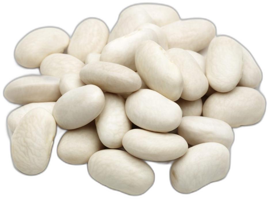 image du produit de saison