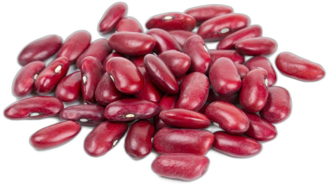 image du produit de saison