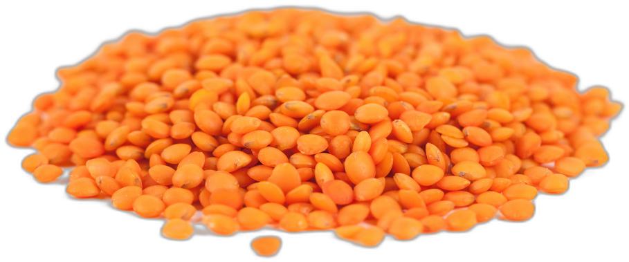 image du produit de saison