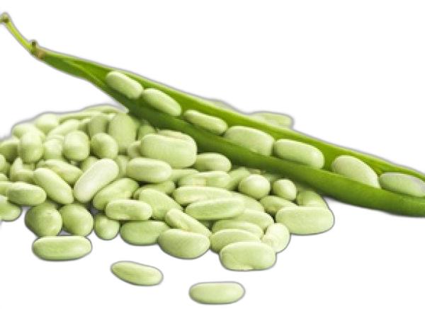 image du produit de saison