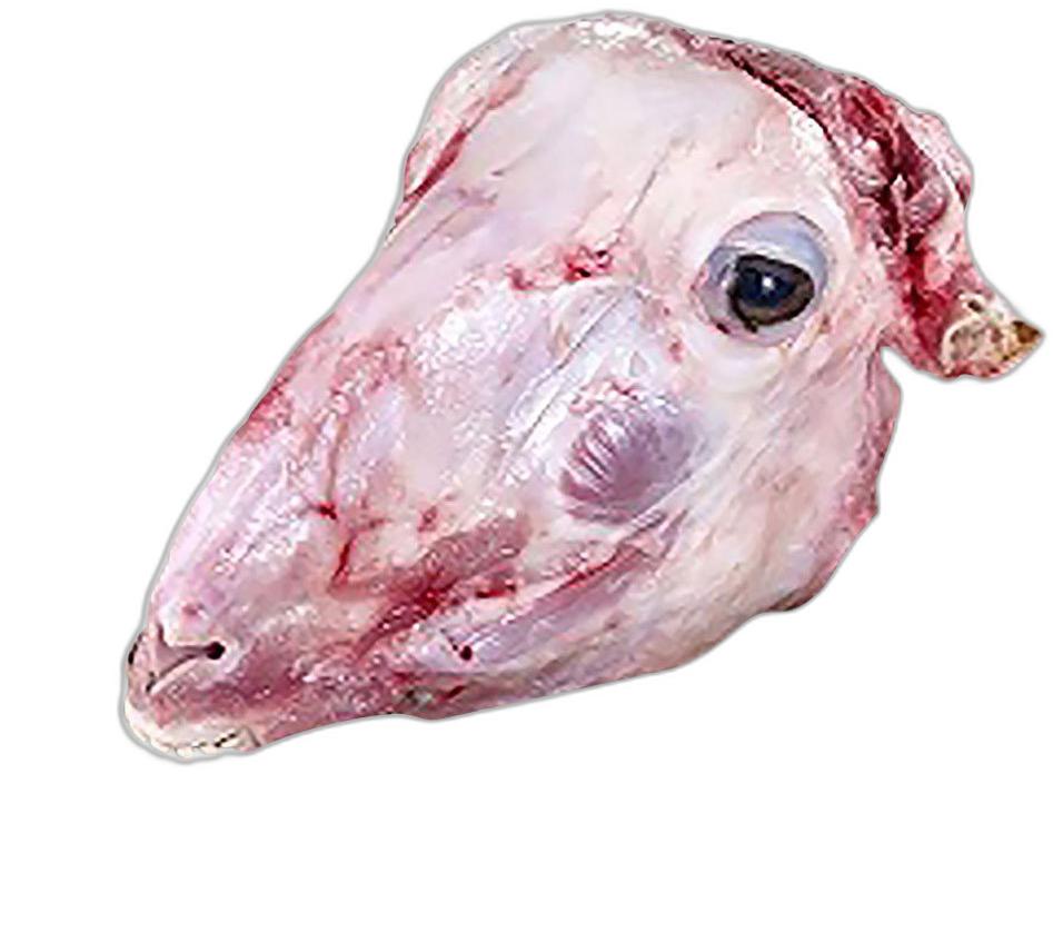 image du produit de saison