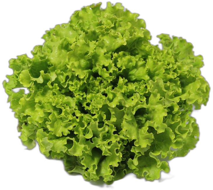 image du produit de saison