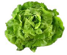 image du produit de saison