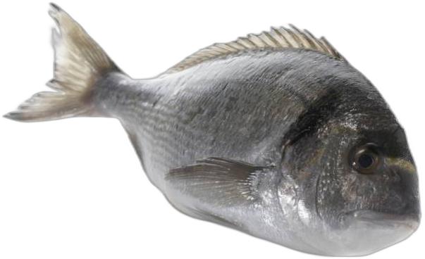 image du produit de saison