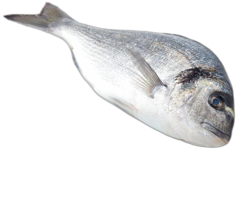 image du produit de saison