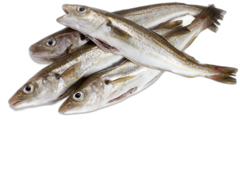 image du produit de saison