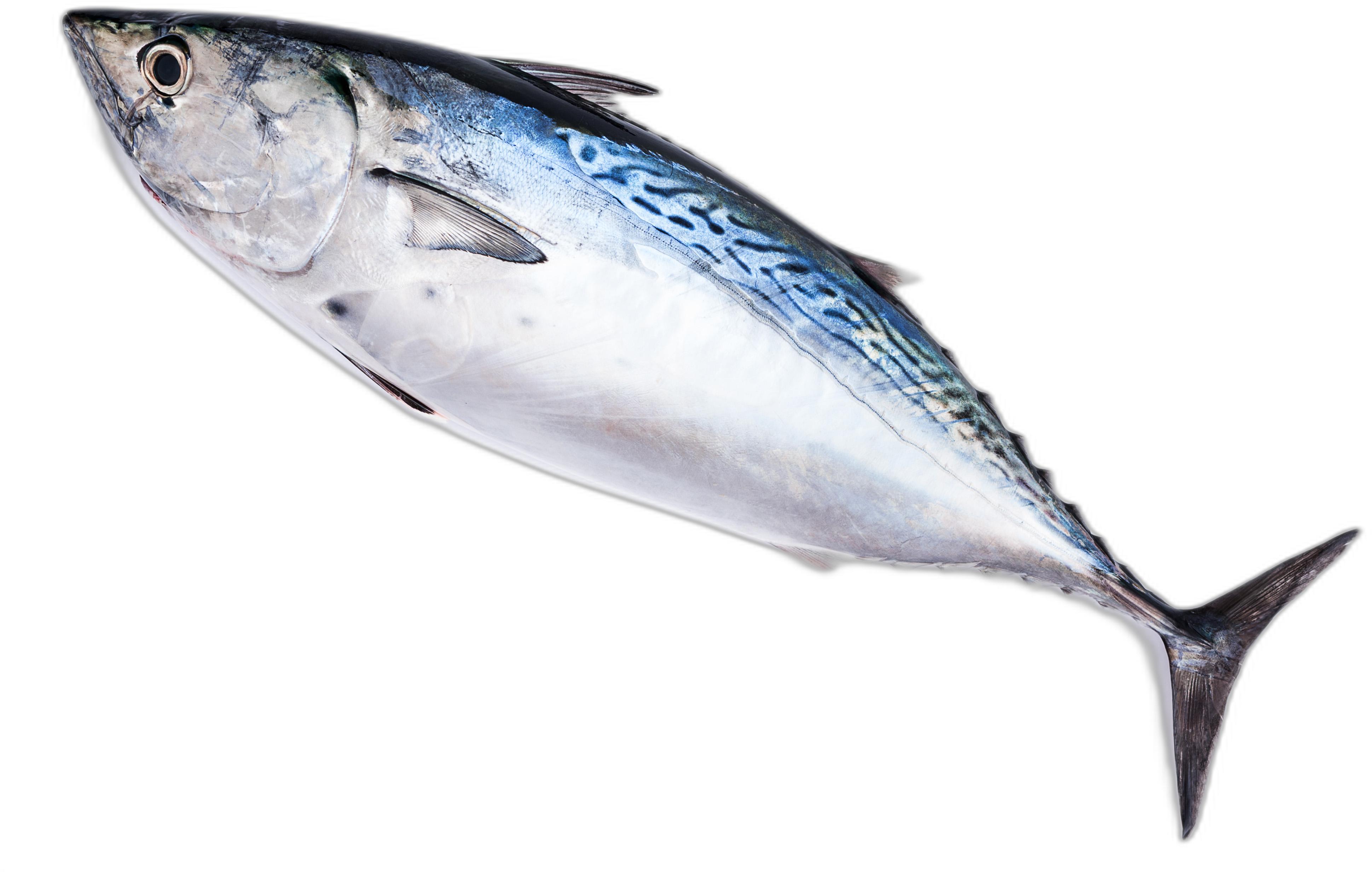 image du produit de saison