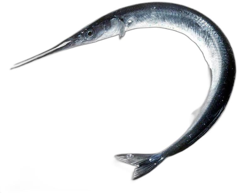 image du produit de saison
