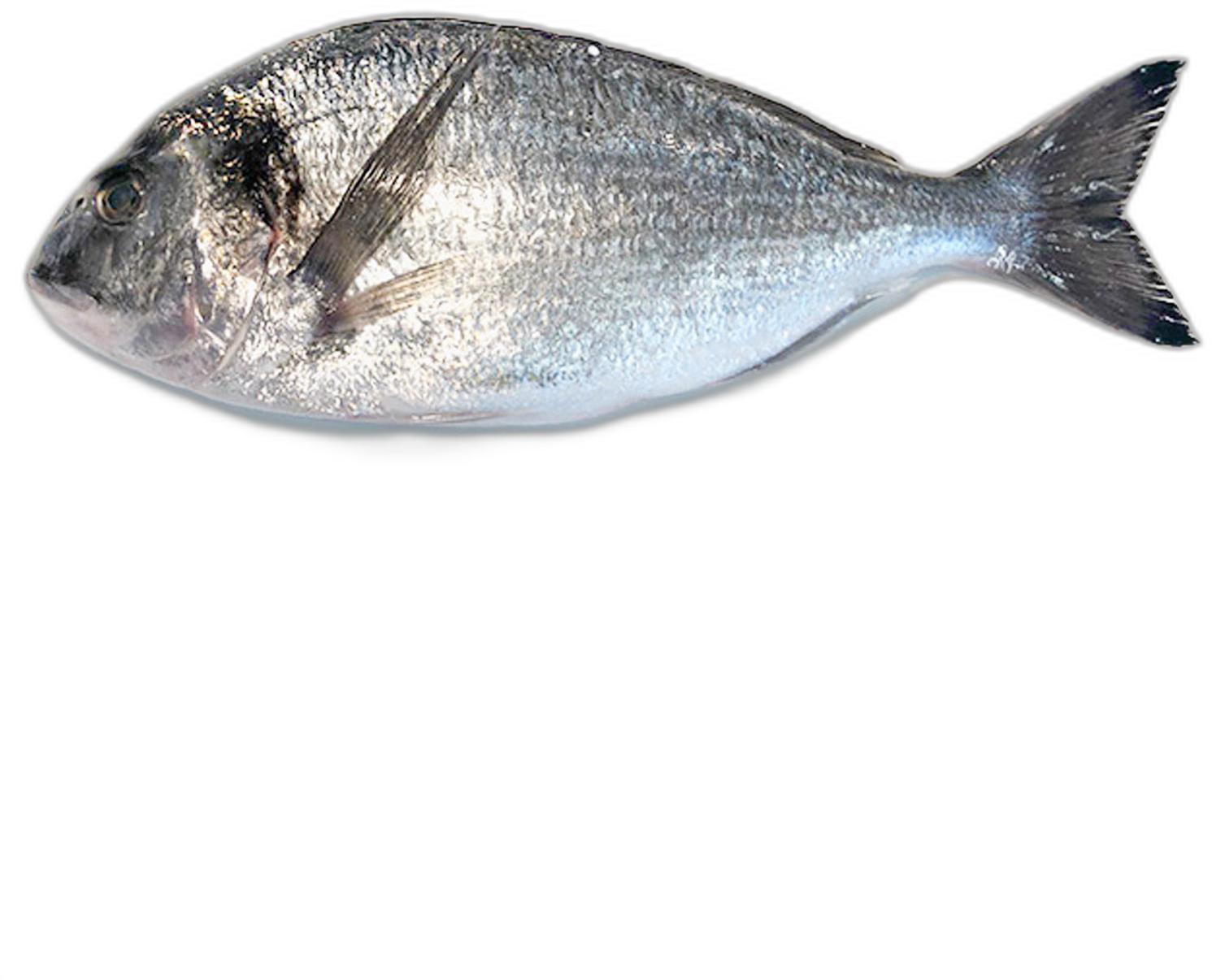 image du produit de saison