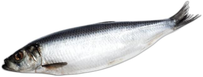 image du produit de saison