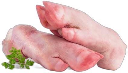 image du produit de saison