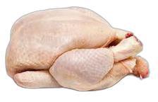 image du produit de saison