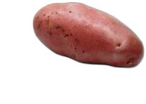 image du produit de saison
