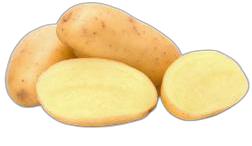 image du produit de saison
