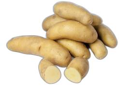 image du produit de saison