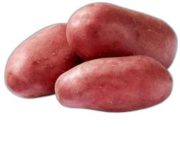 image du produit de saison