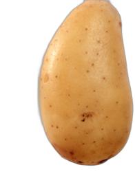 image du produit de saison