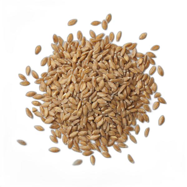 image du produit de saison
