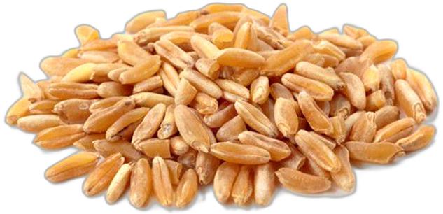 image du produit de saison