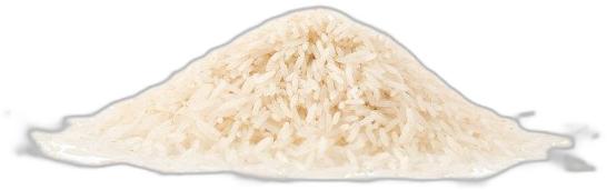 image du produit de saison