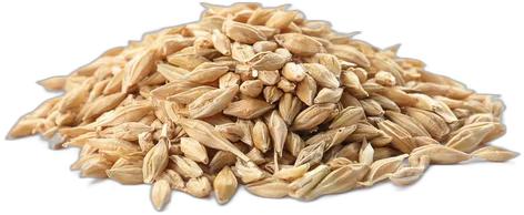image du produit de saison