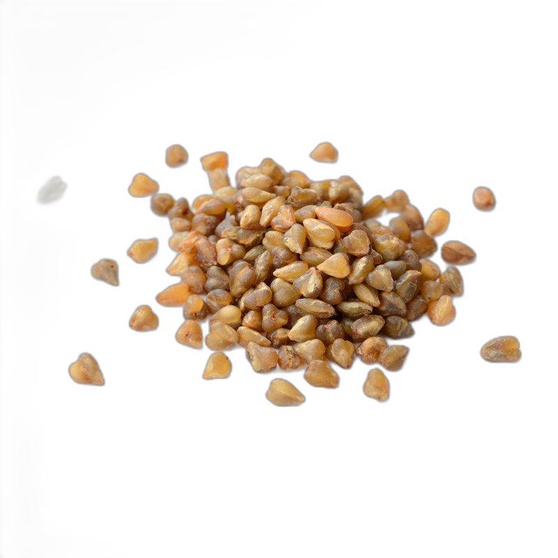 image du produit de saison