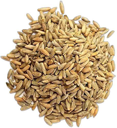 image du produit de saison