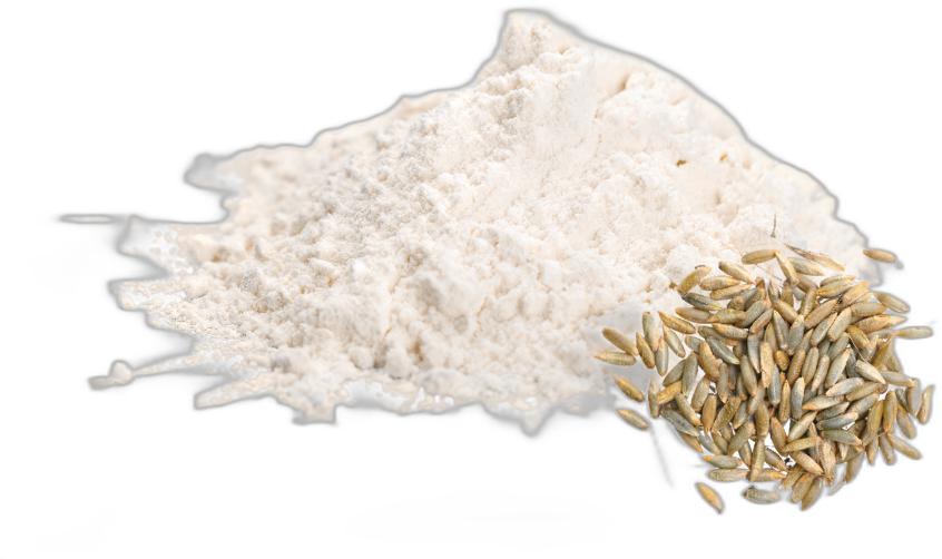 image du produit de saison