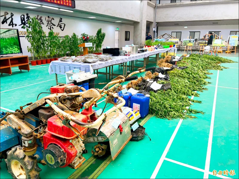 Record-Breaking Marijuana Bust: Police Seize $10 Billion Worth of Greenhouse-Grown Cannabis