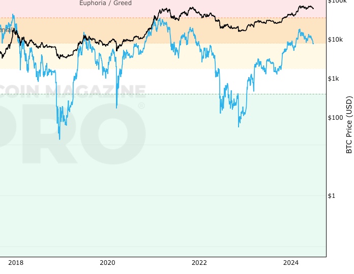 Net Unrealized Profit/Loss (NUPL) screenshot