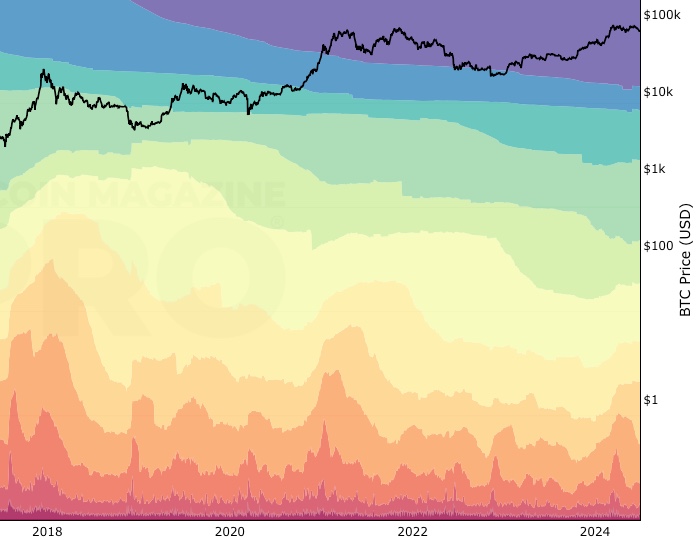 HODL Waves screenshot