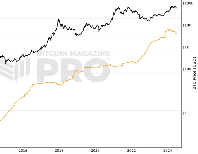 5+ Years HODL Wave screenshot