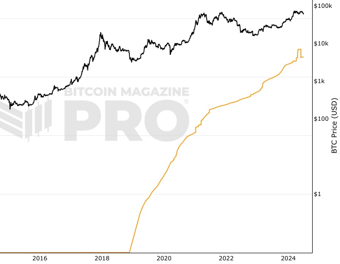 10+ Años HODL Olas screenshot