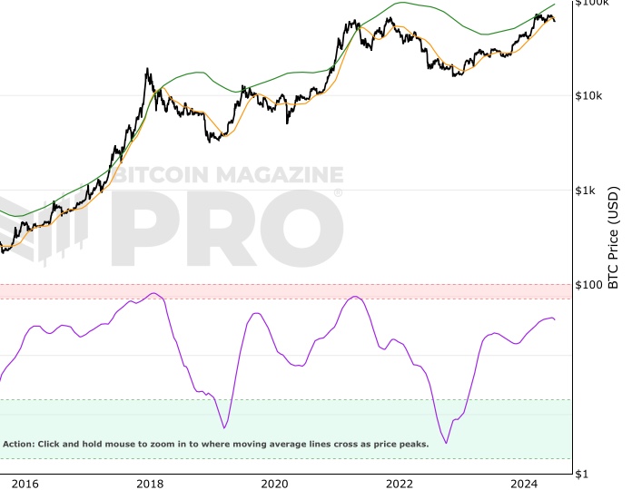 Pi Cycle Top & Bottom Indicator screenshot