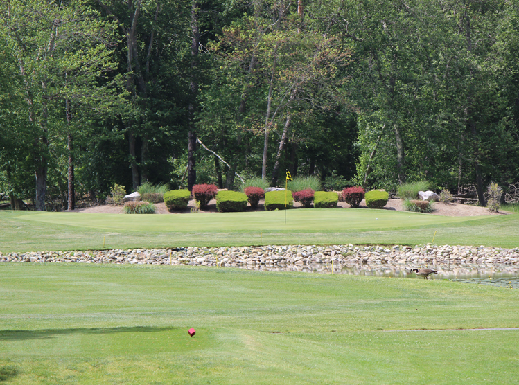 Buena Vista Country Club