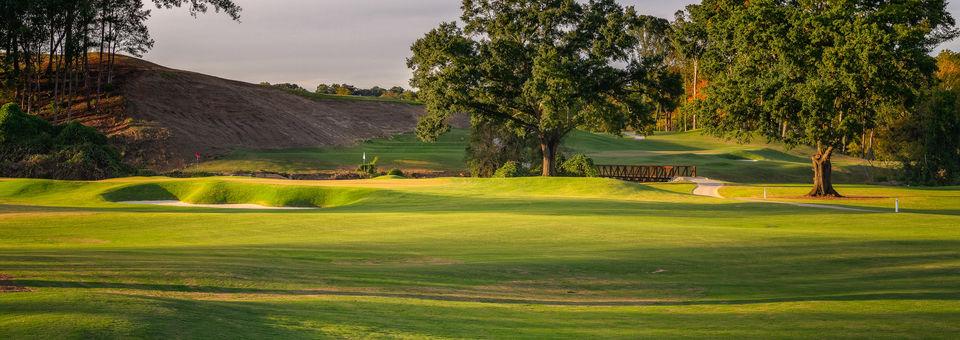 Azalea - Bobby Jones Golf Course
