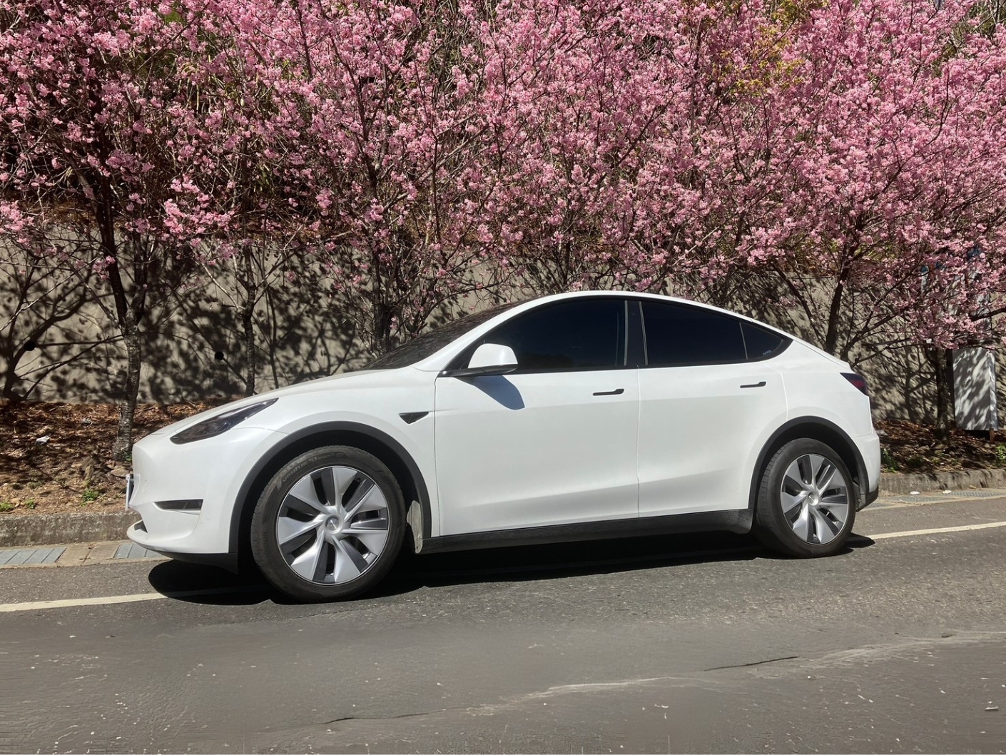 Tesla 特斯拉租車推薦 Model Y LR+EAP