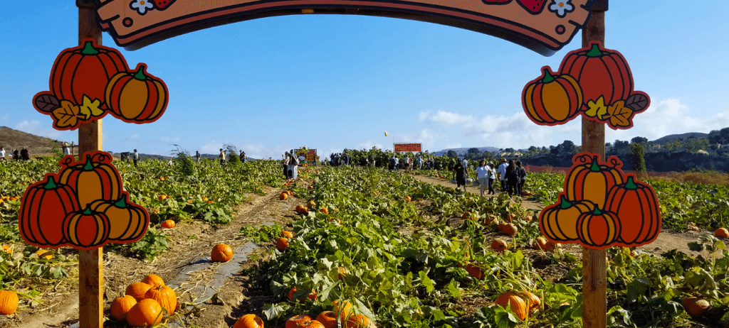 Tanaka Farms