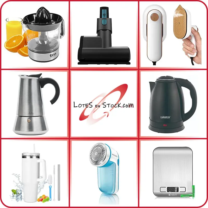 Lote 400P20V02/31 electrodoméstico pequeño
