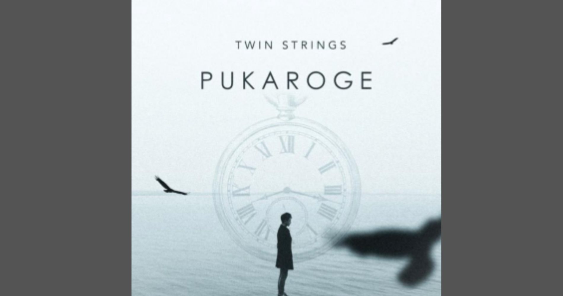 One of India’s favourite Boy Band, Twin Strings release a Love Ballad “Pukaroge”