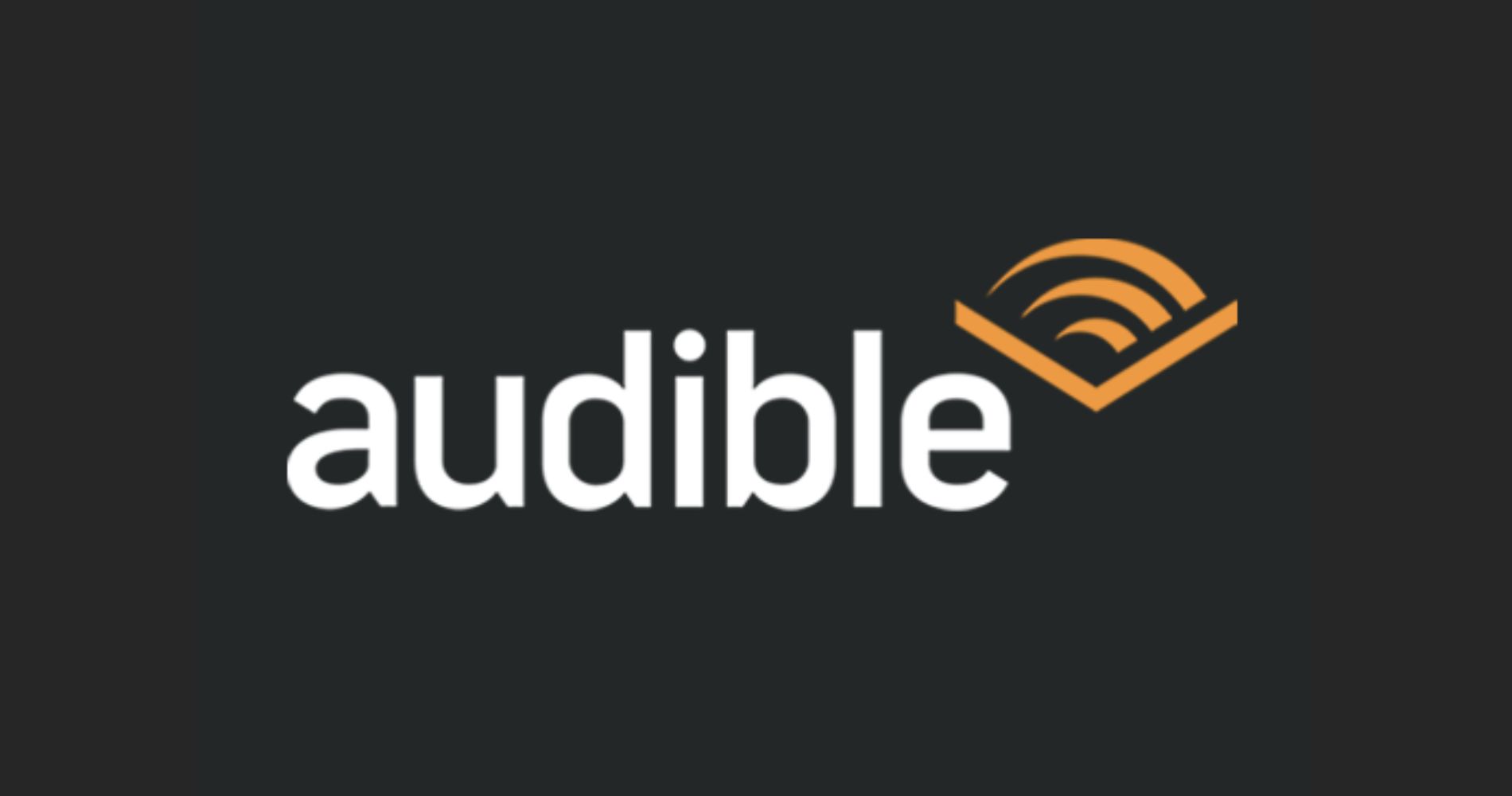 This World Hindi Day, Listen to these incredible Hindi audiobooks only on 'Audible'