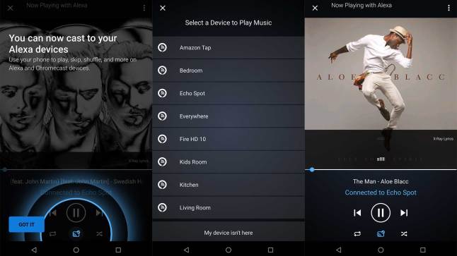 Alexa Cast With Amazon Music IS A New Way To