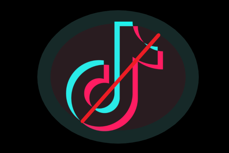 TikTok app taken down from Google and Apple app stores