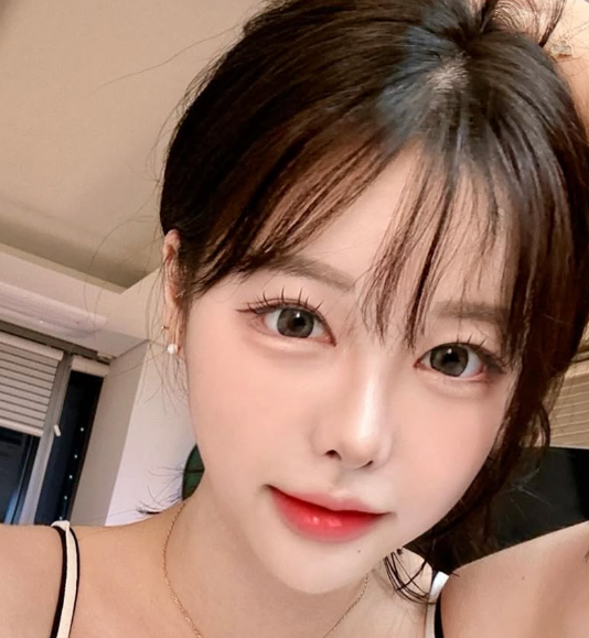 솜먼지
