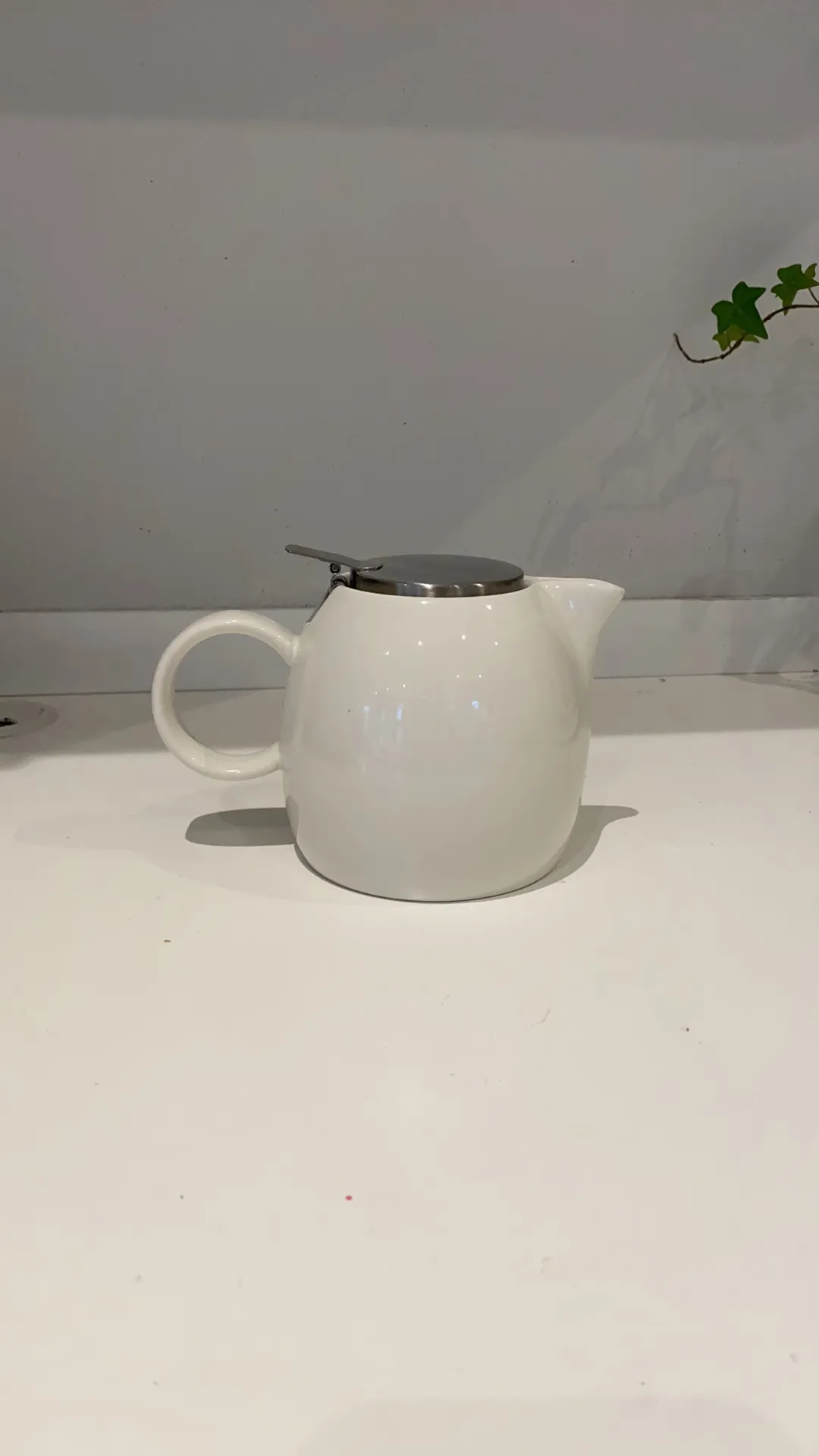 Tea Fort Tea Pot, white ceramic with matching tea strainer media