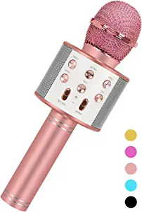 Karaoke Microphone
