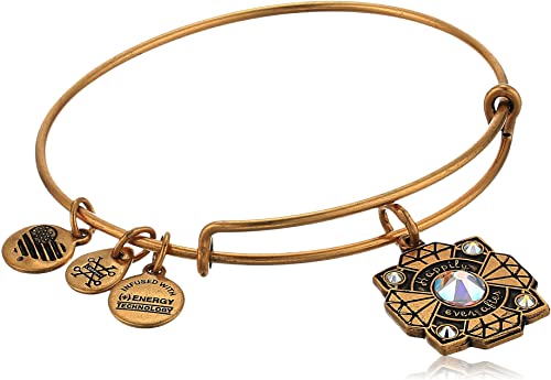 Alex and Ani Bride Bangle
