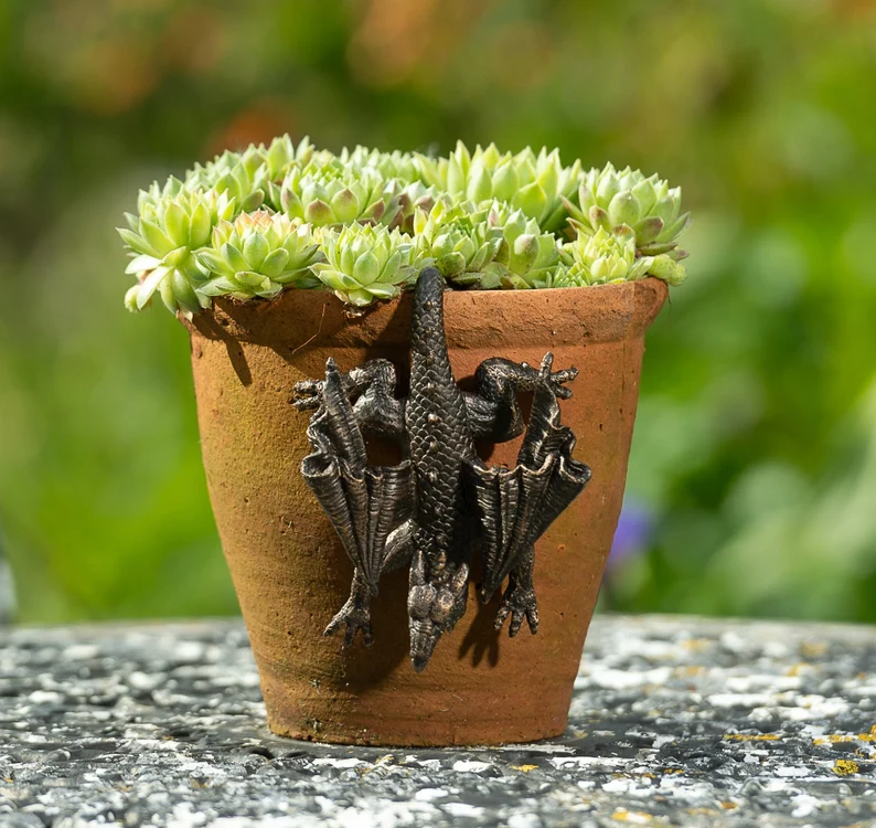 Dragon Pot