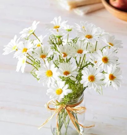 Daisies