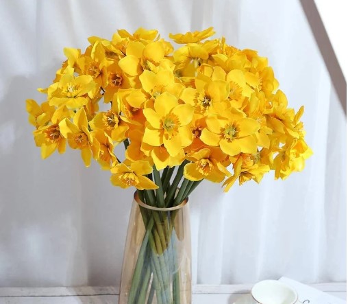 Daffodils